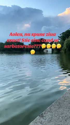 A post by @olteanca01 on TikTok caption: #fyp #fouryou #
