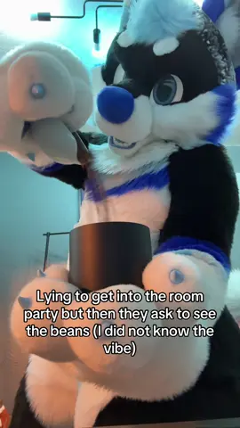 A post by @ on TikTok caption: Oh it’s that kind of room party