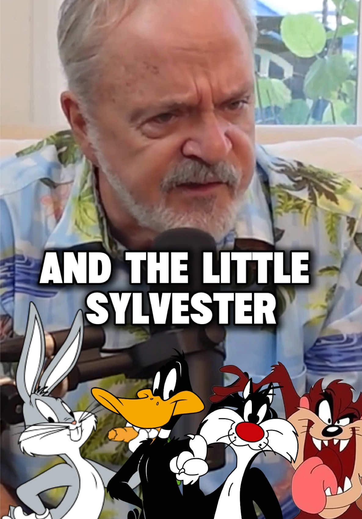 A post by @jimjcummings on TikTok caption: How he became Winnie the Poohs voice actor #jimcummings #winniethepooh #voiceacting 