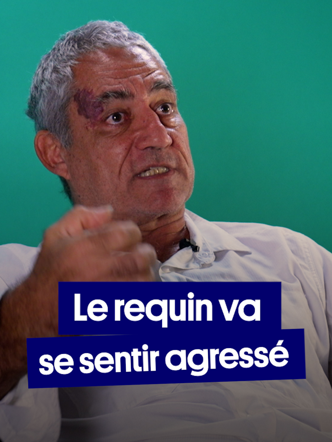 A post by @quotidienofficiel on TikTok caption: Le requin cherche-t-il vraiment à nous attaquer ? Éric Lua, vétérinaire, biologiste marin, étho-écologue, professeur des universités et militant pour la conservation des requins, répond à cette question et casse les clichés sur l’approche que nous possédons vis-à-vis de ces animaux marins plus que redoutés. #mer #requins #animauxmarins #faune #sinformersurtiktok