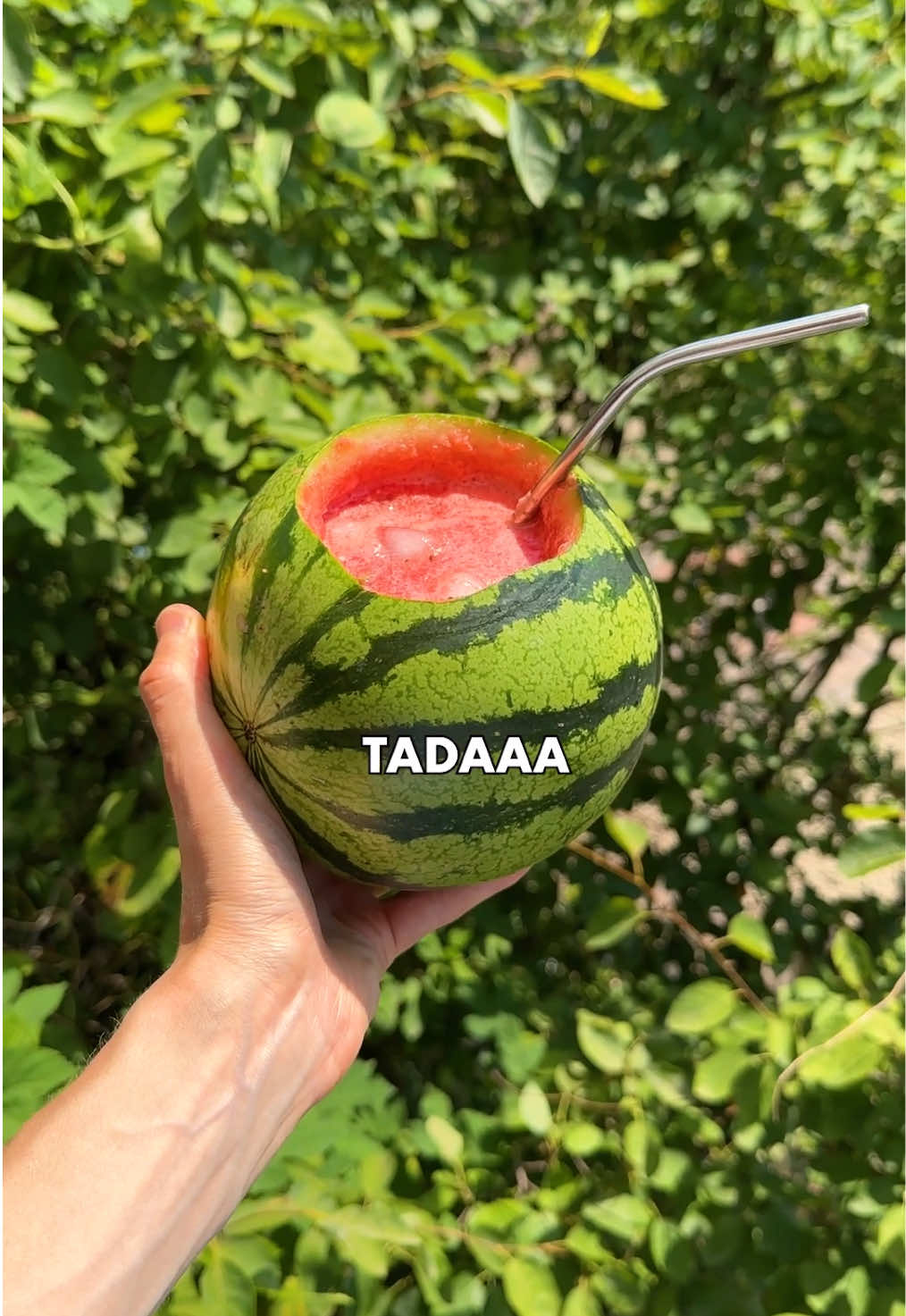 A post by @fitgreenmind on TikTok caption: If life gives you a watermelon, make a watermelon-melon-water! 🤪🍉 Recipe inspo by @veganewunder.🫶 RECIPE watermelon drink (1 big or small 3 servings, 5min pre time): -1 small watermelon, cut in a hole in which you can put a stick blender. Blend until you have a slush. -a handful ice cubes -a handful mint -juice of 1 lime Mix well and drink from the watermelon or serve in glasses using a ladle. 😌 - Wenn dir das Leben eine Wassermelone gibt, mach einfach Wassermelonen-Melonen-Wasser draus! 🤪🍉 Rezept-Inspo von @veganewunder 🫶 REZEPT Wassermelonen-Drink (1 große oder 3 kleine Portionen, 5 Min. Vorbereitungszeit): – 1 kleine Wassermelone, oben ein Loch schneiden, sodass ein Pürierstab reinpasst. Alles direkt in der Melone zu Slush mixen. – 1 Handvoll Eiswürfel – 1 Handvoll frische Minze – Saft von 1 Limette Gut umrühren und direkt aus der Melone trinken – oder mit einer Kelle in Gläser füllen. 😌 #easyveganrecipes #easyrecipes #drinks #watermelon #watermelondrink #summerrecipes #lemonade 