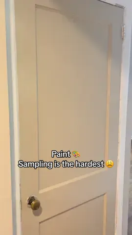 A post by @massangeshome on TikTok caption: Paint Sampling is the Hardest 😩