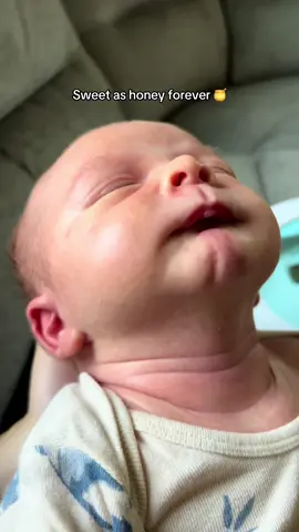A post by @loreleiwilfong on TikTok caption: Soaking up every second 🥹💙 #mama #fyp #newborn #motherhood #babytok 