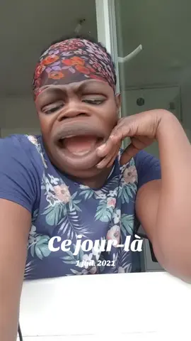 A post by @gentilleallouette1 on TikTok caption: #cejour-là 
