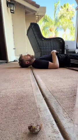 A post by @imbrandonfarris on TikTok caption: We tried to save him! 😩@camerondomasky 