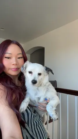 A post by @sanguyenn on TikTok