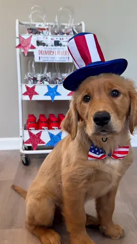 A post by @melissa_fakler on TikTok caption: July snack cart restock for our amazing delivery drivers 📦🇺🇸💙 #restock #restockasmr #snackcart #deliverydriver #satisfying #asmr #asmrsounds #4thofjuly #snacks #goldenretriever #puppy #goldenretrieverpuppy