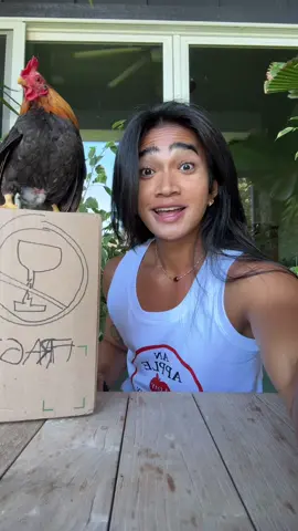 A post by @bretmanrock on TikTok caption: @garbo.zhu I love you so much these mean the absolute world to me !! 🍑🐓🍊🐲