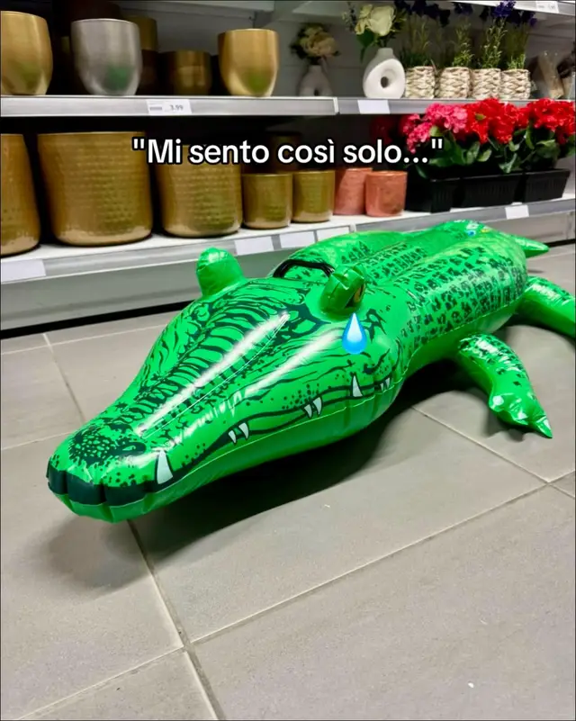 A post by @actionitalia on TikTok caption: Le avventure dei nostri animali gonfiabili 🩵 #ActionItalia #Actionfinds