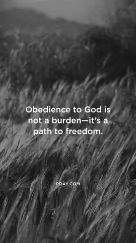 A post by @pray on TikTok caption: Just as a path through a field leads us to clearer ground, obedience leads our hearts to rest and our spirits to soar. The more we walk in His ways, the more we discover the freedom that comes from aligning with His will. It's not about rules—it's about relationship. And in that relationship, we find a freedom the world can’t offer and the enemy can’t steal.