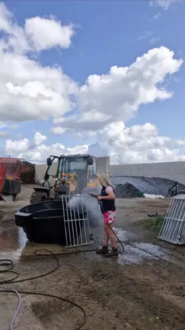 A post by @legendairy_holsteins on TikTok caption: Tuesday achievements 💃🧼