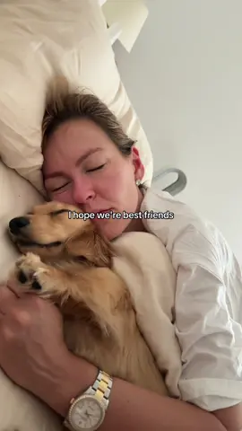 A post by @serenakerrigan on TikTok caption: My best friend ❤️ @PANCHO #dogsoftiktok #dacshund #dogmom 