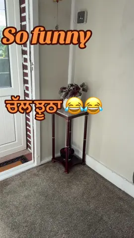 A post by @rab__di__mehar on TikTok caption: 😂😂😂#promomakanliburan #ਮੇਰਾਪਿੰਡ #onthisday #CapCut #goviral #fyp #nature #stopwar #sidhumossewala #tiktokviral #foruyou #viralvideos 