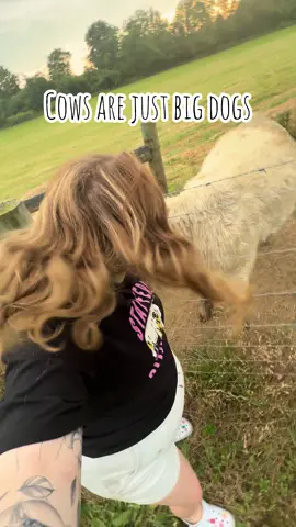A post by @laciemevans_ on TikTok caption: Just a crazy cow lady and her big pets 