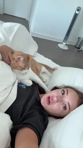 A post by @rhegancoursey on TikTok caption: spend a non realistic day with me | im starting to love vlogging again