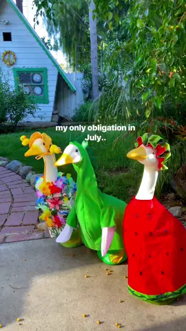 A post by @trippydraws on TikTok caption: MERICA🦅🦅🇺🇸🇺🇸 #tiktok #foryou #porchgoose 