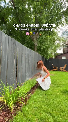 A post by @kyliekatich on TikTok caption: WE ARE BLOOMING! I REPEAT!!! BLOOMING!!!!! 😭😭😭 #gardening #chaosgardening #gardenupdate 