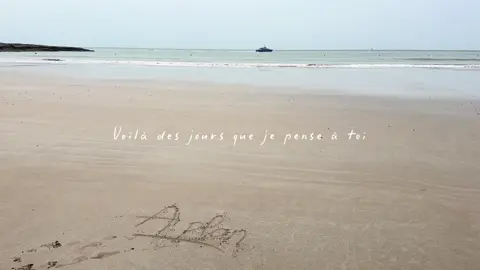 A post by @ogee_off on TikTok caption: enfin à vous🥹🥹🥹🥹😭🤧