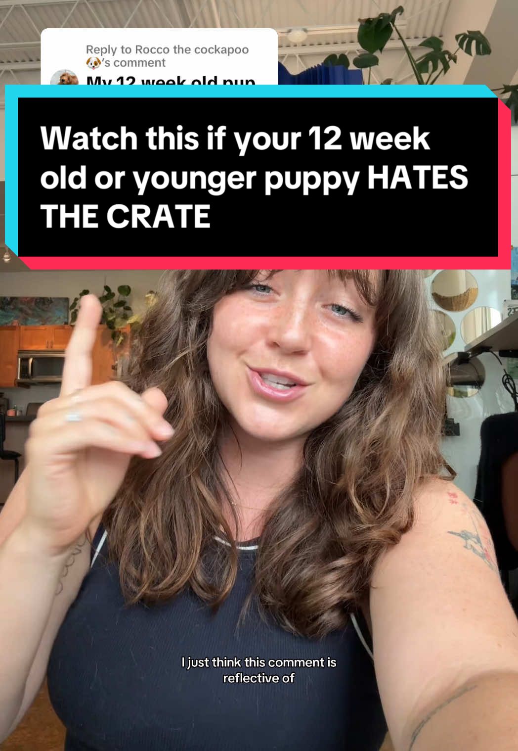 A post by @taylorcezanne on TikTok caption: Replying to @Rocco the cockapoo 🐶 that is a young puppy! Expecting them to be alone in the crate that young is a stretch! I recommend shorter times in the crate or to use a playpen instead when they’re this young. Any Qs? Ask here! #cratetraining #dogs 