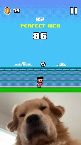 A post by @dave.xp on TikTok caption: Kickfall puede ser estresante ⚽️🐶 #kickfall 