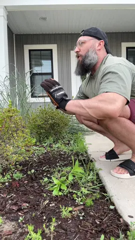 A post by @beingjustjohn on TikTok caption: Every HOA is a scam 
