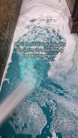 A post by @legendairy_holsteins on TikTok caption: Cows footbath do be tricking my mind though 🤭