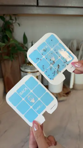 A post by @itschelseahope on TikTok caption: In paid partnership with Safer Home. The family friendly way to get rid of bugs 🐜  I’ve been using these @saferbrand indoor fly traps every single summer & they never fail me. Available on Amazon!! #saferhome #hack #home #amazonfinds #amazonmusthaves 