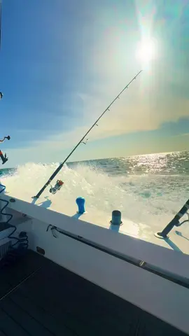 A post by @lil_bit_352 on TikTok caption: prob needed a hug… went fishing instead #fyp #saltwaterfishing #summer 