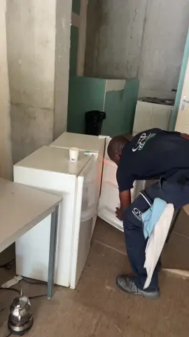 A post by @diaguinasoroma1 on TikTok