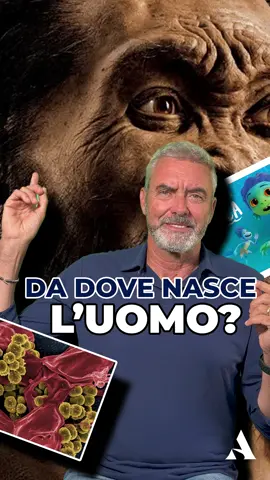 A post by @scuolanauticadelta on TikTok caption: 🤔 Da dove nasce l’uomo?! ⛵️Scuola nautica Delta 📞0583 947059 📍Via Provinciale di Sottomonte, 15, Guamo 📧 info@scuolanauticadelta.it ⏰ LUN-VEN 9:00-13:00/15-19:00 ⏰SAB 10:00-12:00 🎬@afinet.it #patentenauticaonline #nautica #esamepatente #summer #sail #boat  #vitainmare #consiglinautici #curiosità #amoreperilmare  #patentenauticaentro12miglia #patentenautica 