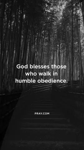A post by @pray on TikTok caption: Each act of obedience—no matter how small—is a seed sown in the soil of His Kingdom, destined to bear fruit in due season. Keep walking, step by step, with a heart aligned to Him, and watch as His blessings unfold in your life.