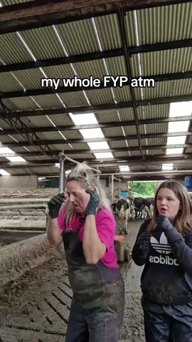 A post by @legendairy_holsteins on TikTok