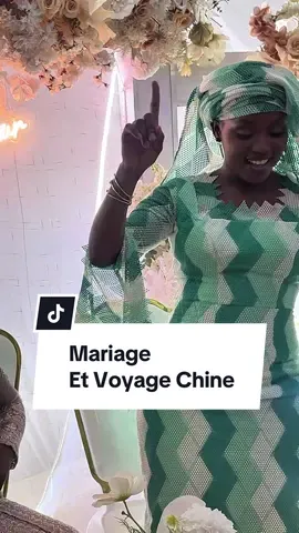 A post by @atelier_art_bi on TikTok caption: Yor bebe di voyager metineu #artbi #artbidiayoul #atelierartbi #badienechinoise #artbichinois #parlerchinois #parlermandarin #dalian #china 