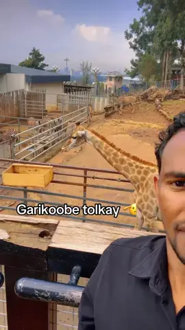 A post by @bisle_1 on TikTok
