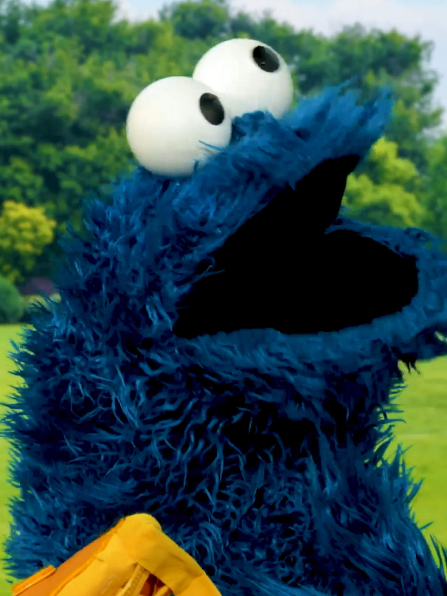 A post by @sesamestreet on TikTok caption: Let's play ball! ⚾️💙