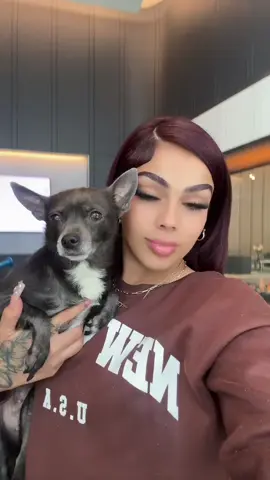 A post by @staceyyrosado on TikTok caption: My Bebe 🥲 @MetroPetsGroomingNy #fyp #foryou 