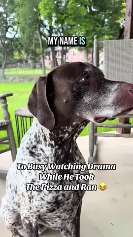 A post by @patti_xoxo_ on TikTok caption: #duet with @Wyatt #wyattthegsp This is the best ever listen till the end 🤣 #Pizza #drama #innocent #foryou #fypシ 