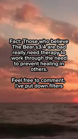 A post by @midnightlibrarian on TikTok caption: this gonna make the sydcarm fandom angry. #thebear #TV #hottake #cooking #chicago #fx 