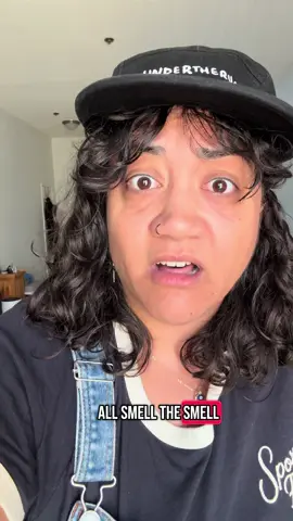 A post by @alienreese on TikTok caption: We all smell that, right? #fourthofjuly #analogy #surpiseparty