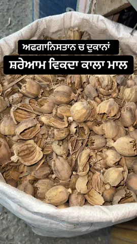 A post by @punjabitravelcouplevlog on TikTok caption: ਅਫਗਾਨਿਸਤਾਨ ਚ ਸ਼ਰੇਆਮ ਵਿਕਦਾ ਕਾਲਾ ਮਾਲ