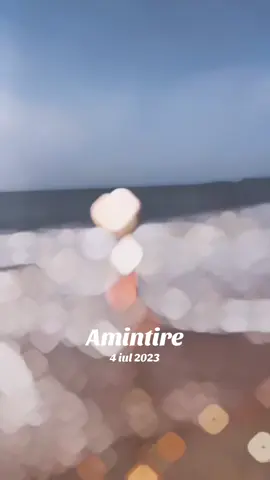 A post by @svetamelinic on TikTok caption: #amintire 