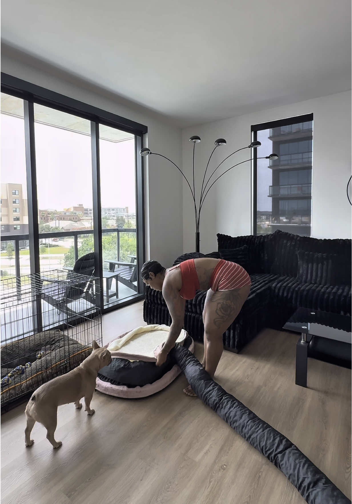 A post by @_fitjazz on TikTok caption: Had to wash my girl bed for her 🥰 if you’re doggy needs something comfy this is it!!  Click the orange cart ⬇️  _____ #foryoupage #fyp #dogbed 