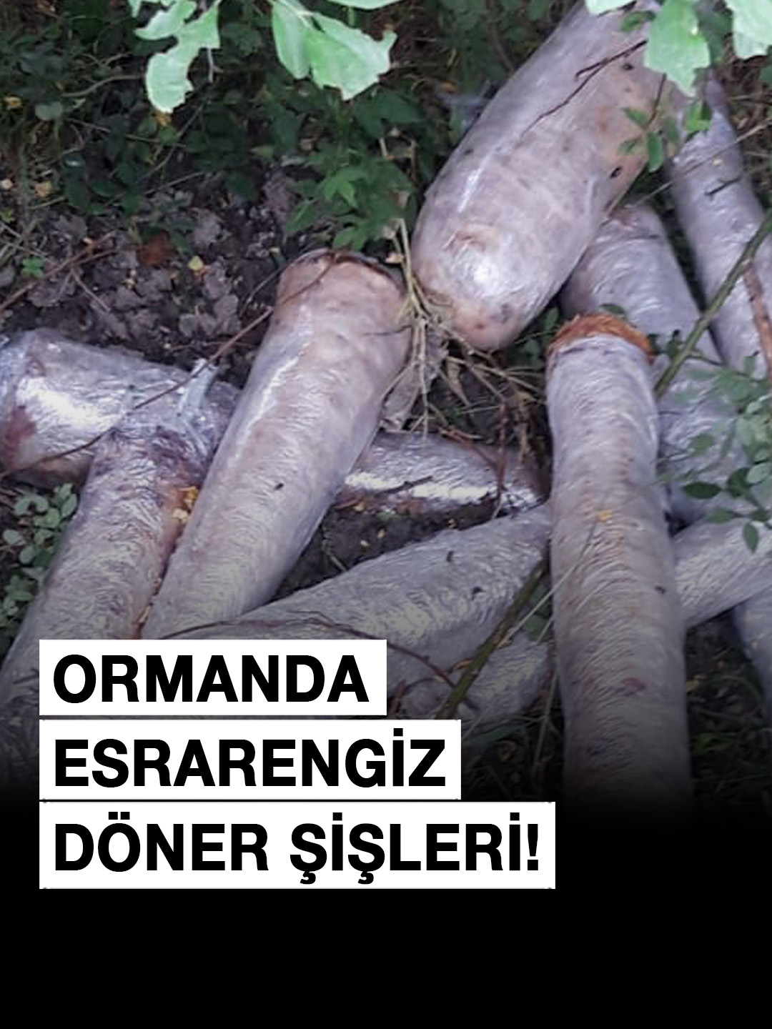 A post by @camiahaber on TikTok caption: Ormanda Esrarengiz Döner Şişleri!