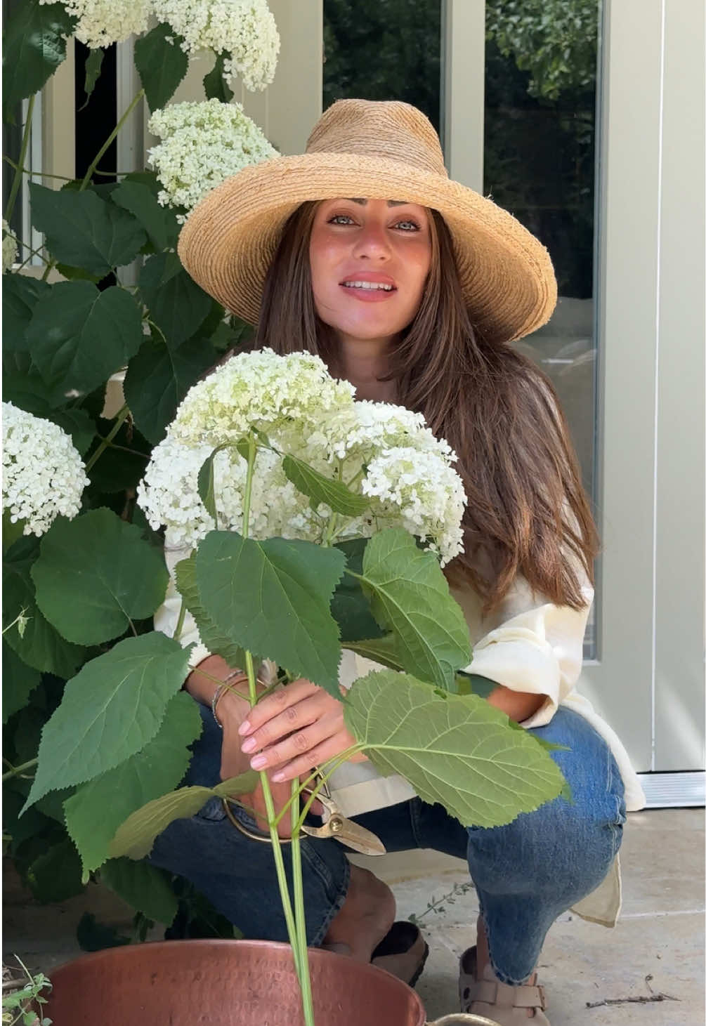 A post by @lydiamillen on TikTok caption: 30cm? I’ve definitely had bigger. #gardenhaul #gardentour #hydrangeas #homemaking #hermeshaul 