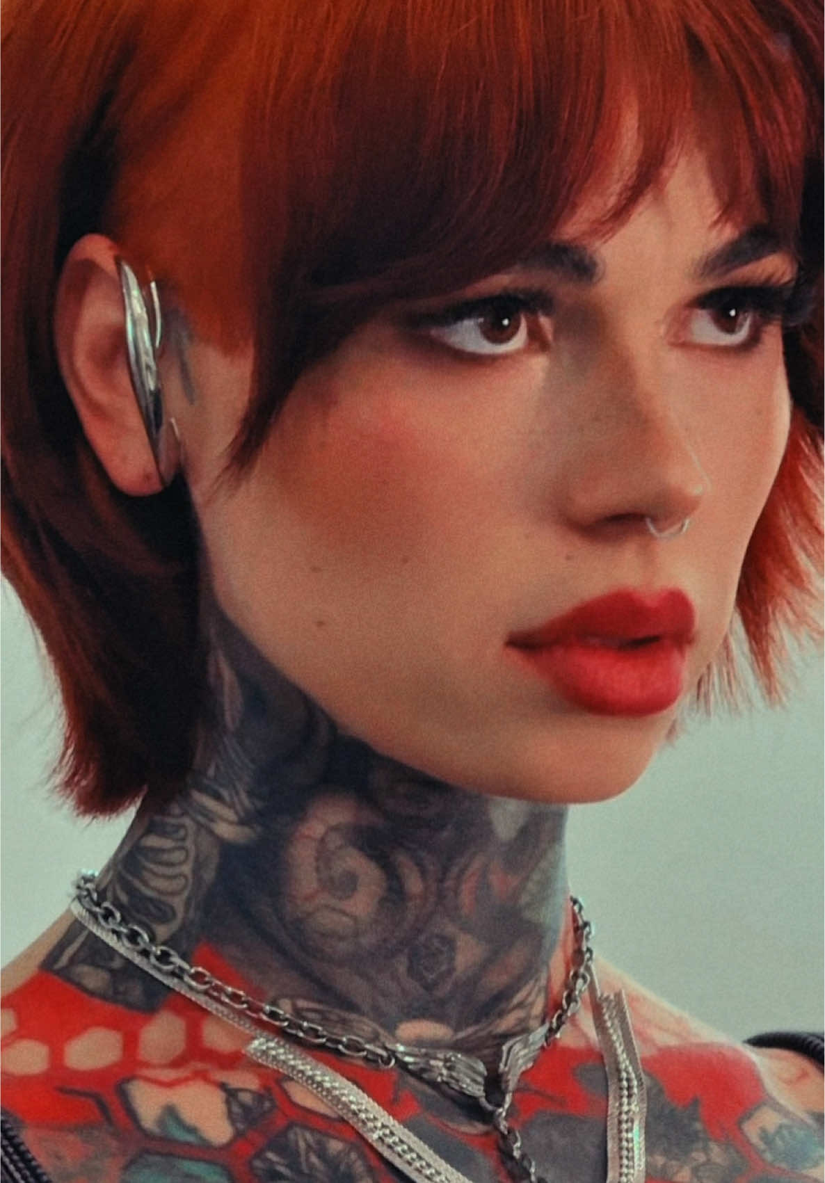 A post by @beezzgarden on TikTok