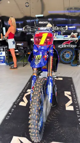 A post by @thehaidendeegan on TikTok caption: Redbud mericaaaa #fyp #foryoupage #trending #haidendeegan 