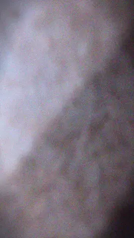 A post by @gabriellagabbry on TikTok caption: Nu am făcut videoclipul de genu în viața mea dar azi pentru prima dată am încercat și eu ♥️ mi-am pregătit chamlagnetti 🥰 pe care într-adevăr să spun m-au uimit îmi plac enorm de mult ♥️♥️ #tiktokromania #mancare #champagnetti #pentrutine #vapup 