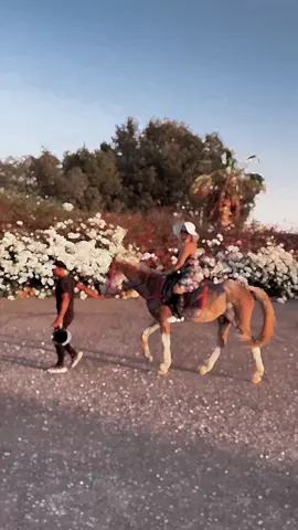 A post by @dilonaz35 on TikTok caption: 🐎