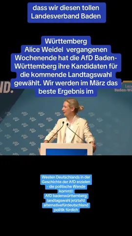 A post by @mariodeldjs on TikTok caption: #AfD #badenwürttemberg #landtagswahl #jetztafd #alternativefürdeutschland #politik #fürdich