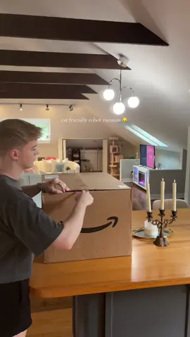 A post by @michaelduvallxo on TikTok caption: finally something to help out with all this cat hair 😁 #fyp 